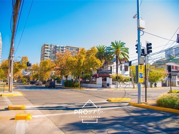 Imagen 10