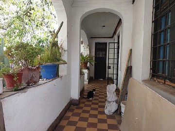 Imagen 11