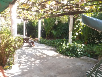 Imagen 11