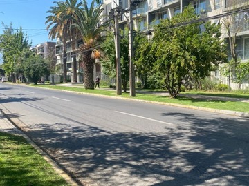 Imagen 24