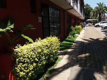 Imagen 39
