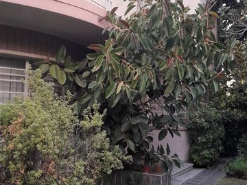 Venta / Casa / Ñuñoa