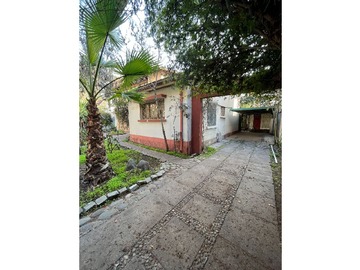 Imagen 15