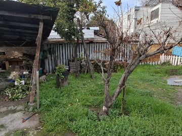 Imagen 11