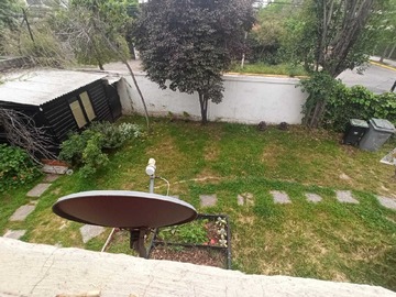 Imagen 15