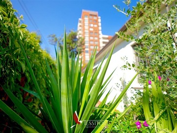 Imagen 15