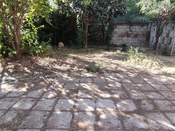 Imagen 23