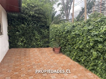 Imagen 8