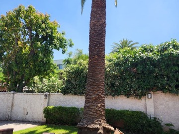 Venta / Casa / Ñuñoa