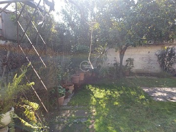 Imagen 16