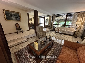 Imagen 7
