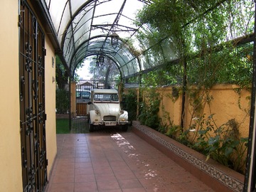 Imagen 19