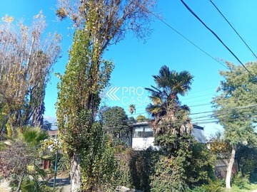 Imagen 23