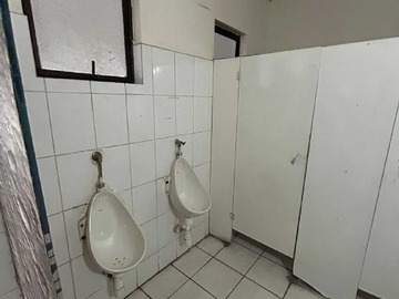 Imagen 12