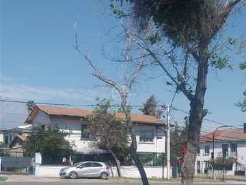 Venta / Casa / Ñuñoa