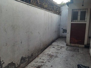 Imagen 5
