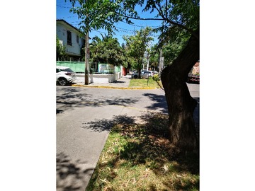 Imagen 24