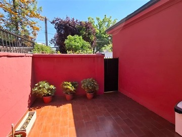 Imagen 7