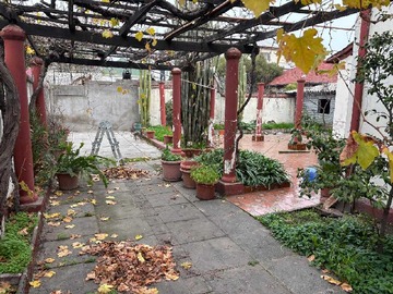 Imagen 22