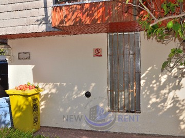 Imagen 5