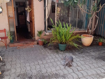 Venta / Casa / Ñuñoa