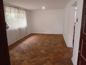 Imagen 15