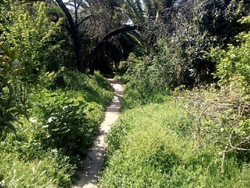 Venta / Casa / Ñuñoa
