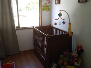 Imagen 13