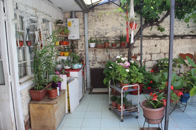 Patio interior