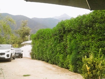 Imagen 7