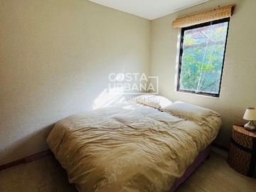 Imagen 12
