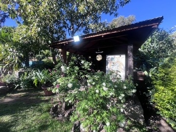 Imagen 7