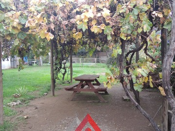 Imagen 19