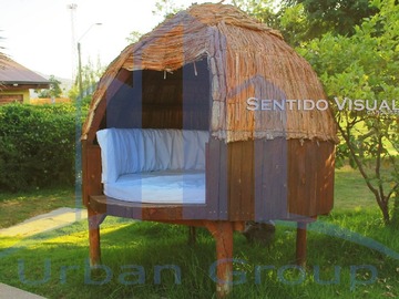 Imagen 6