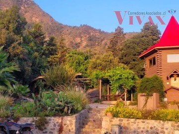 Imagen 4