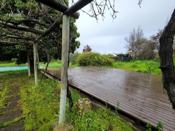 Imagen 16