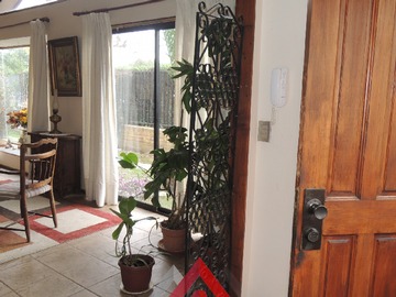 Imagen 4