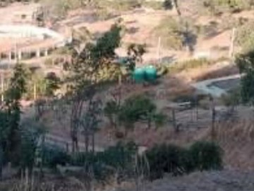 Imagen 13