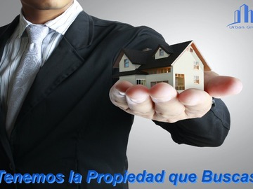 Imagen 19
