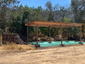 Imagen 8