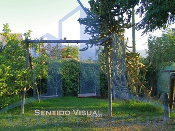 Imagen 12