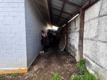 Imagen 6