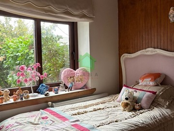 Imagen 12