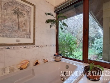 Imagen 14