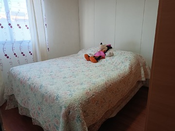 Imagen 5