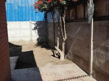 Imagen 15
