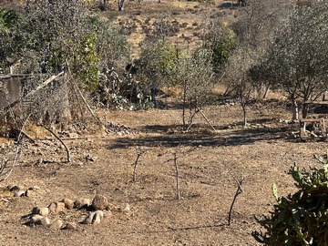 Imagen 5