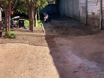 Imagen 6
