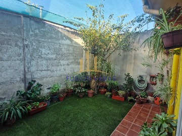 Imagen 11