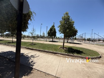 Imagen 7